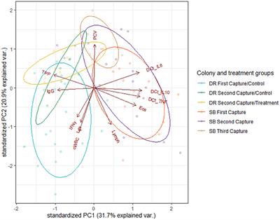 Developing Immune Profiles of Endangered Australian Sea Lion (Neophoca cinerea) Pups Within the Context of Endemic Hookworm (Uncinaria sanguinis) Infection